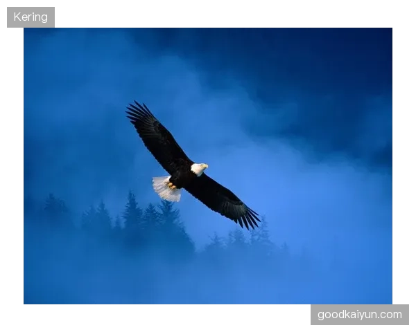 老鹰继续高歌猛进——力争上游的雄鹰精神激励你的每一天 老鹰继续高歌猛进——力争上游的雄鹰精神激励你的每一天